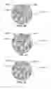 Fig. 27 - METHOD AND SYSTEM FOR QUANTITATIVE ASSESSMENT OF SOCIAL CUES SENSITIVITY