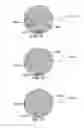 Fig. 30 - METHOD AND SYSTEM FOR QUANTITATIVE ASSESSMENT OF SOCIAL CUES SENSITIVITY