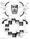Fig. 35 - METHOD AND SYSTEM FOR QUANTITATIVE ASSESSMENT OF SOCIAL CUES SENSITIVITY