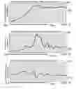 Fig. 41 - METHOD AND SYSTEM FOR QUANTITATIVE ASSESSMENT OF SOCIAL CUES SENSITIVITY