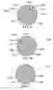 Fig. 22 - METHOD AND SYSTEM FOR QUANTITATIVE ASSESSMENT OF SPATIAL SEQUENCE MEMORY