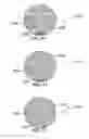 Fig. 30 - METHOD AND SYSTEM FOR QUANTITATIVE ASSESSMENT OF SPATIAL SEQUENCE MEMORY