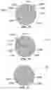 Fig. 22 - METHOD AND SYSTEM FOR QUANTITATIVE ASSESSMENT OF SOCIAL INTERACTIONS NULLING TESTING