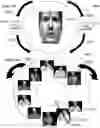 Fig. 35 - METHOD AND SYSTEM FOR QUANTITATIVE ASSESSMENT OF SOCIAL INTERACTIONS NULLING TESTING