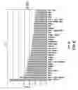 Fig. 07 - NOVEL HIV TARGETS