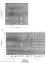 Fig. 100 - Strain of SARS-associated coronavirus and applications thereof