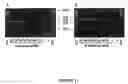 Fig. 13 - Strain of SARS-associated coronavirus and applications thereof
