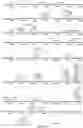 Fig. 37 - Strain of SARS-associated coronavirus and applications thereof