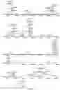 Fig. 47 - Strain of SARS-associated coronavirus and applications thereof