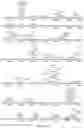 Fig. 52 - Strain of SARS-associated coronavirus and applications thereof