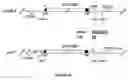 Fig. 92 - Strain of SARS-associated coronavirus and applications thereof
