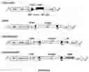 Fig. 95 - Strain of SARS-associated coronavirus and applications thereof