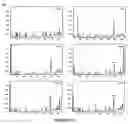 Fig. 99 - Strain of SARS-associated coronavirus and applications thereof