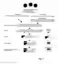 Fig. 02 - Coronavirus, nucleic acid, protein, and methods for the generation of vaccine, medicaments and diagnostics