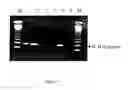 Fig. 02 - USE OF NONVIABLE PARTICLES COMPRISING AN INTERNAL CONTROL (IC) NUCLEIC ACID