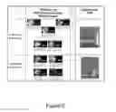 Fig. 03 - Method For The Extraction And Purification Of Nucleic Acids On A Membrane