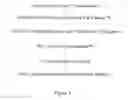 Fig. 02 - METHODS FOR IDENTIFYING AN INCREASED LIKELIHOOD OF RECURRENCE OF BREAST CANCER