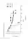 Fig. 28 - METHODS FOR IDENTIFYING AN INCREASED LIKELIHOOD OF RECURRENCE OF BREAST CANCER