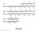 Fig. 23 - Methods of identifying compounds that bind TANGO509