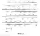 Fig. 83 - Methods of identifying compounds that bind TANGO509