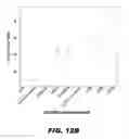 Fig. 31 - Methods and Devices for Detecting Glomerulonephritis and Associated Disorders