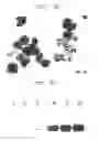 Fig. 04 - SEBOCYTES, SEBOCYTE-CELL LINE AND USES THEREOF