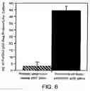 Fig. 06 - Expression of HIV polypeptides and production of virus-like particles