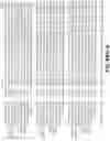Fig. 87 - Expression of HIV polypeptides and production of virus-like particles