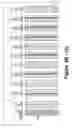 Fig. 09 - Polynucleotide encoding an ATP binding cassette transporter 1 (ABC1) polypeptide