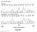 Fig. 25 - Polynucleotide encoding an ATP binding cassette transporter 1 (ABC1) polypeptide