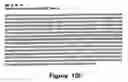 Fig. 50 - Polynucleotide encoding an ATP binding cassette transporter 1 (ABC1) polypeptide