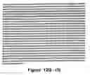 Fig. 53 - Polynucleotide encoding an ATP binding cassette transporter 1 (ABC1) polypeptide