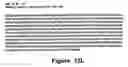 Fig. 64 - Polynucleotide encoding an ATP binding cassette transporter 1 (ABC1) polypeptide
