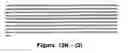 Fig. 68 - Polynucleotide encoding an ATP binding cassette transporter 1 (ABC1) polypeptide