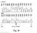 Fig. 74 - Polynucleotide encoding an ATP binding cassette transporter 1 (ABC1) polypeptide