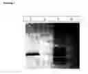 Fig. 03 - Peptides and uses thereof