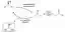 Fig. 01 - Deracemisation of amines
