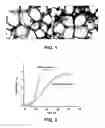 Fig. 02 - Process of production of vanillin with immobilized microorganisms