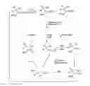 Fig. 01 - Preparation of pregabalin and related compounds