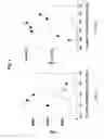 Fig. 03 - DENDRITIC CELL POTENTIATION