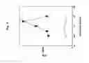 Fig. 04 - DENDRITIC CELL POTENTIATION
