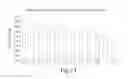 Fig. 14 - Isolated nucleic acids encoding farnesyltransferase polypeptides