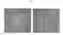 Fig. 02 - Embryonic stem cell line and method for preparing the same