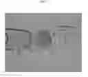 Fig. 06 - Embryonic stem cell line and method for preparing the same