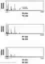 Fig. 47 - Combinatorial multidomain mesoporous chips and a method for fractionation, stabilization, and storage of biomolecules