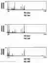 Fig. 48 - Combinatorial multidomain mesoporous chips and a method for fractionation, stabilization, and storage of biomolecules