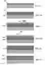 Fig. 02 - METHODS AND DEVICES FOR PROCESSING A PRECURSOR LAYER IN A GROUP VIA ENVIRONMENT