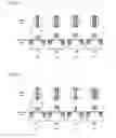 Fig. 08 - Method of manufacturing a semiconductor device in which an increase in area of the semiconductor device is suppressed
