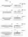 Fig. 07 - Methods of solid phase recrystallization of thin film using pulse train annealing method