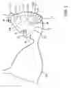 Fig. 02 - Concealed and discreet security pocket